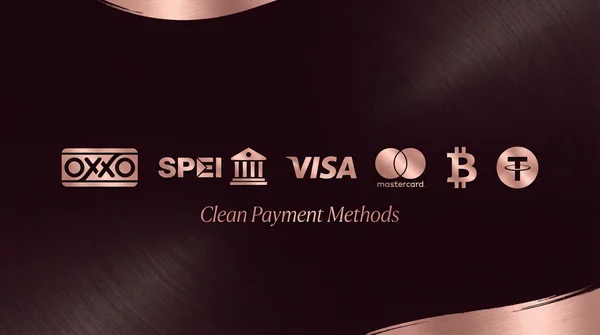 Métodos de Pago OXXO SPEI Visa Mastercard